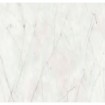 Sensi 900 Carrara Lux Rett 120x120