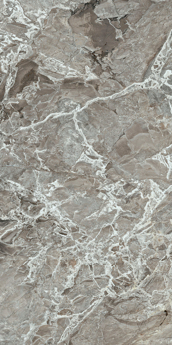 Authentic Marble Aubisque Silk Matte Ret. 60x120