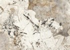 Larda