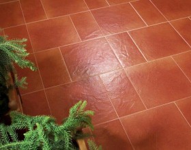 Paradyz Taurus Brown