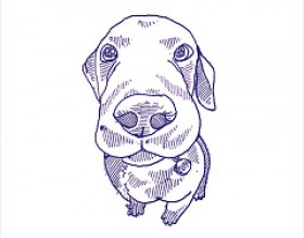 Stories Eddiy Матовая (50 вариантов паттерна) 10х10