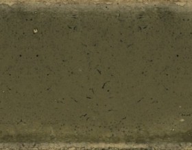 Jazba Olive Brillo 6x24.6