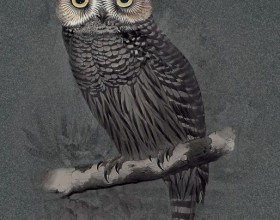 Hypnotic Owl 120x280