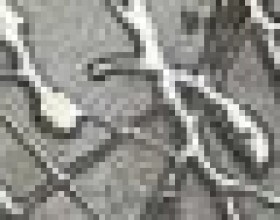 Mineral List. Stars Bronze 60*3.8