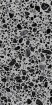 Керамогранит Ergon Medley Grey Pop 60x120