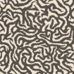NOK Snake Ebony 120x120