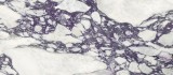 TERZADIMENSIONE CALACATTA VIOLA HONED PLUS 120х278x0.65?>