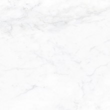 Marmol Carrara Blanco Brillo 59.6x59.6
